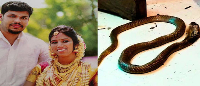 Kerala : కేరళ కోర్టు సంచలన తీర్పు.. పాముకాటుతో భార్యను చంపి